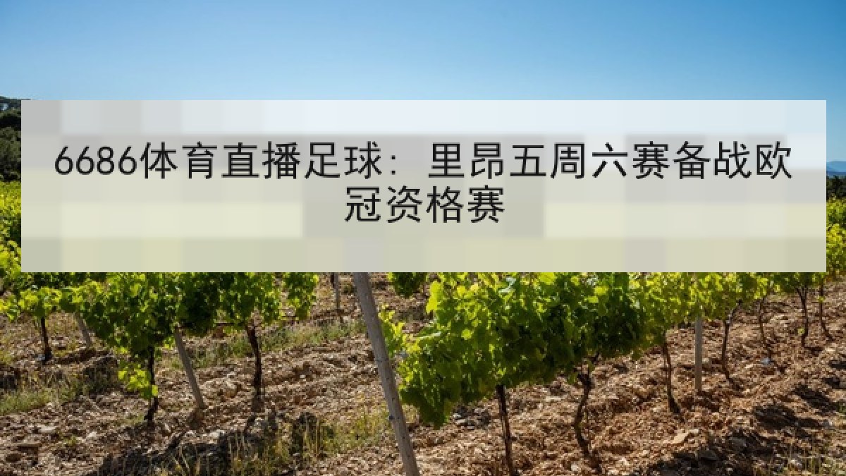 6686体育直播足球: 里昂五周六赛备战欧冠资格赛